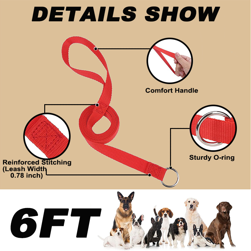 Slip Lead Dog Leash 6 FT