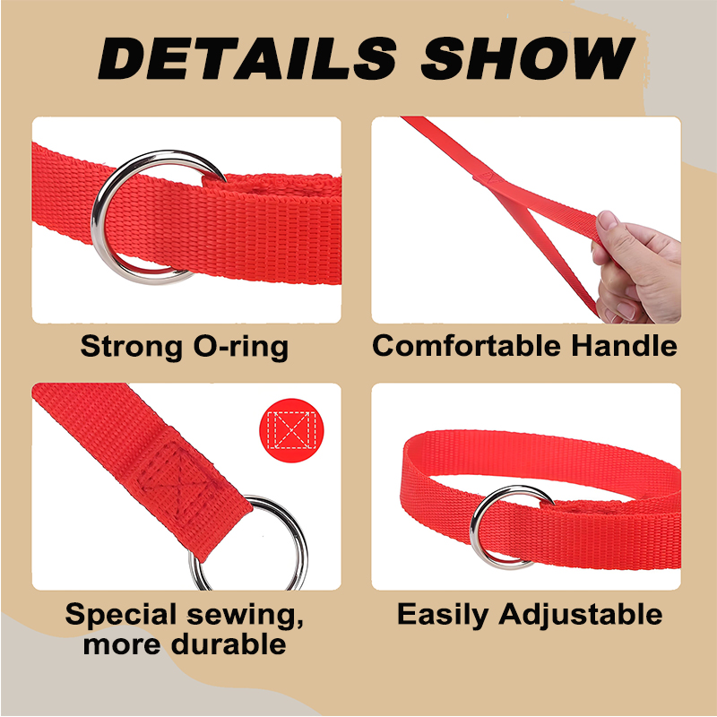 Slip Lead Dog Leash 6 FT