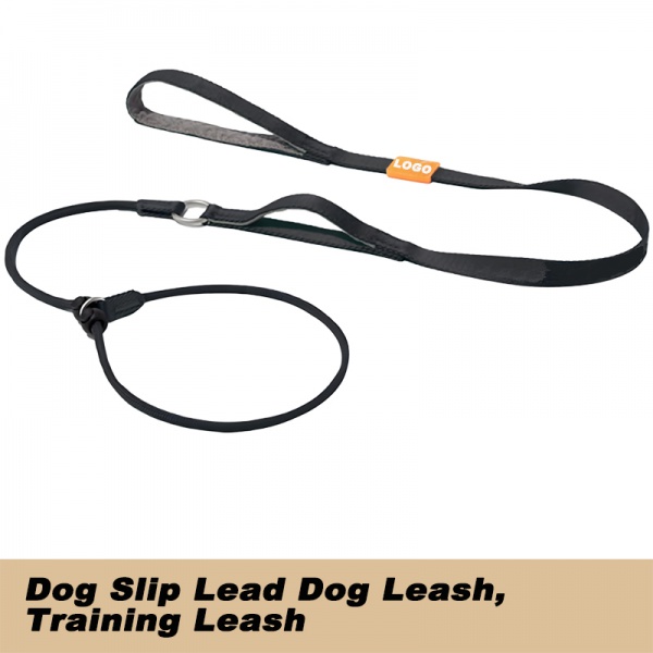 Dog Slip Lead Dog Leash Training Leash