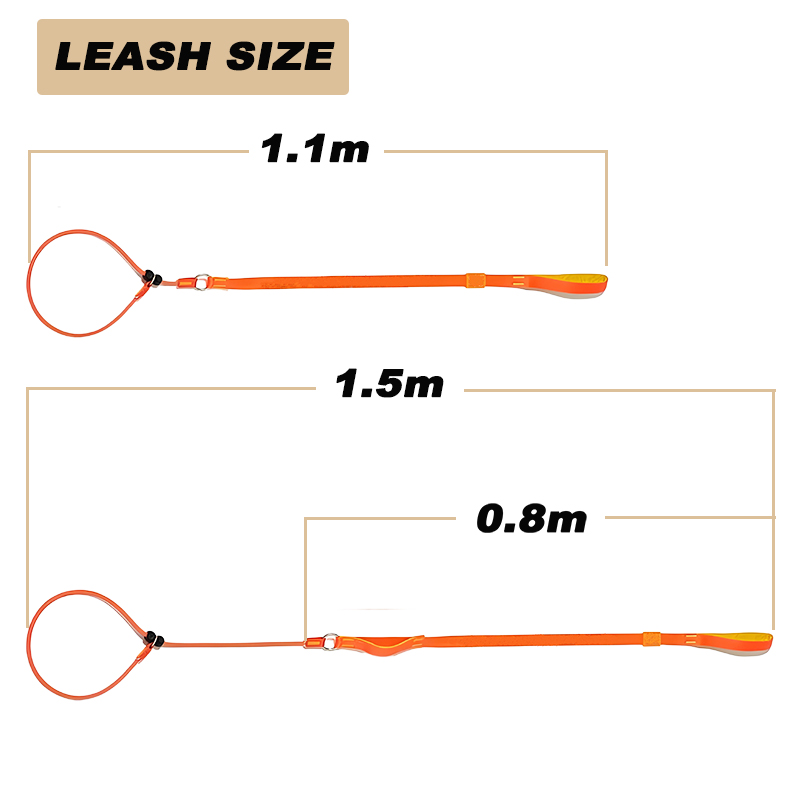 Dog Slip Lead Dog Leash Training Leash