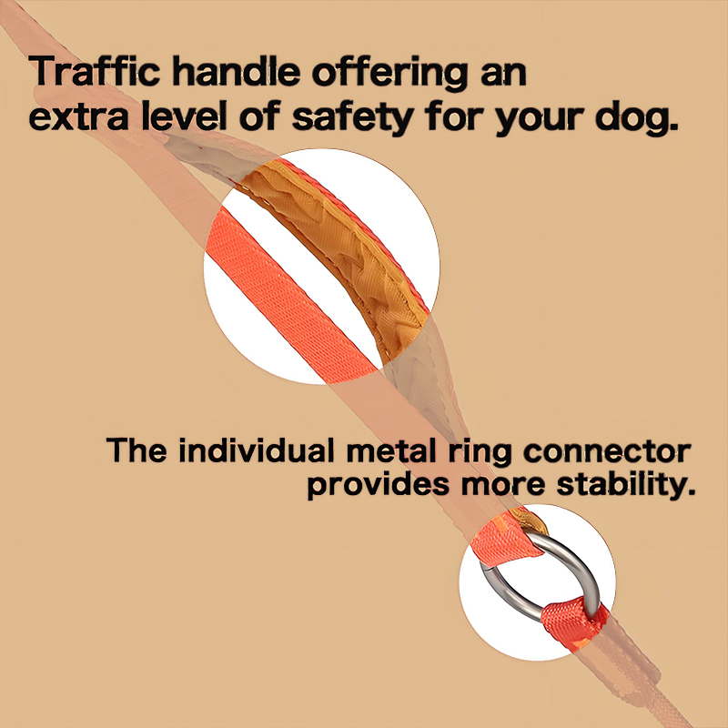 Dog Slip Lead Dog Leash Training Leash