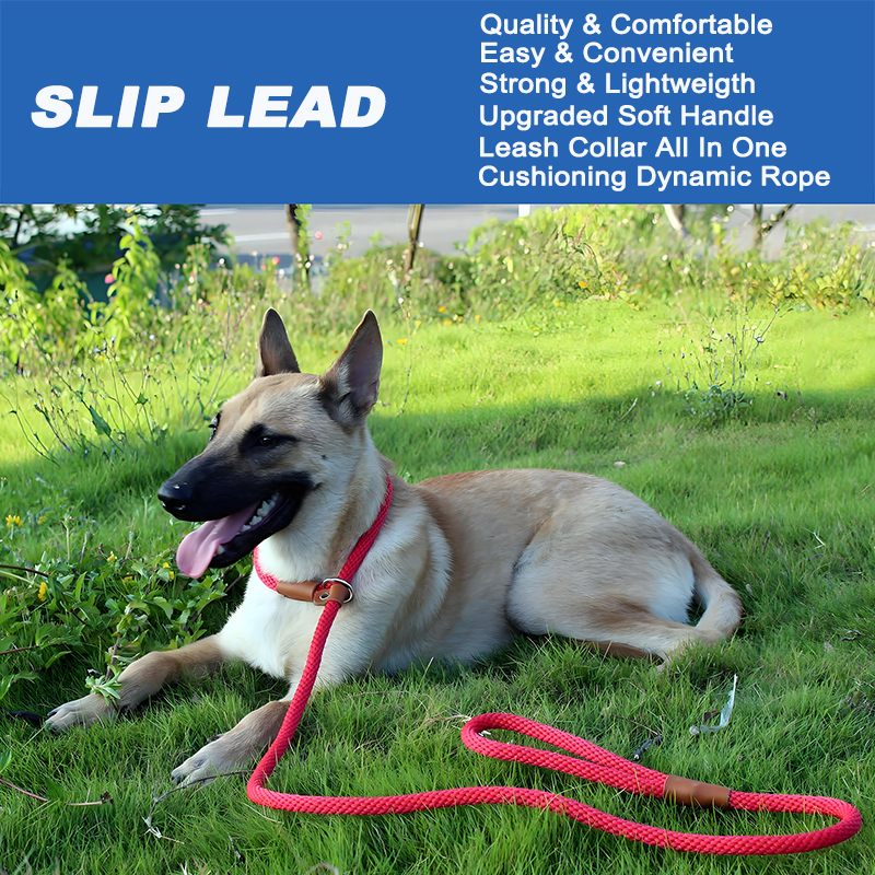 round dog leash