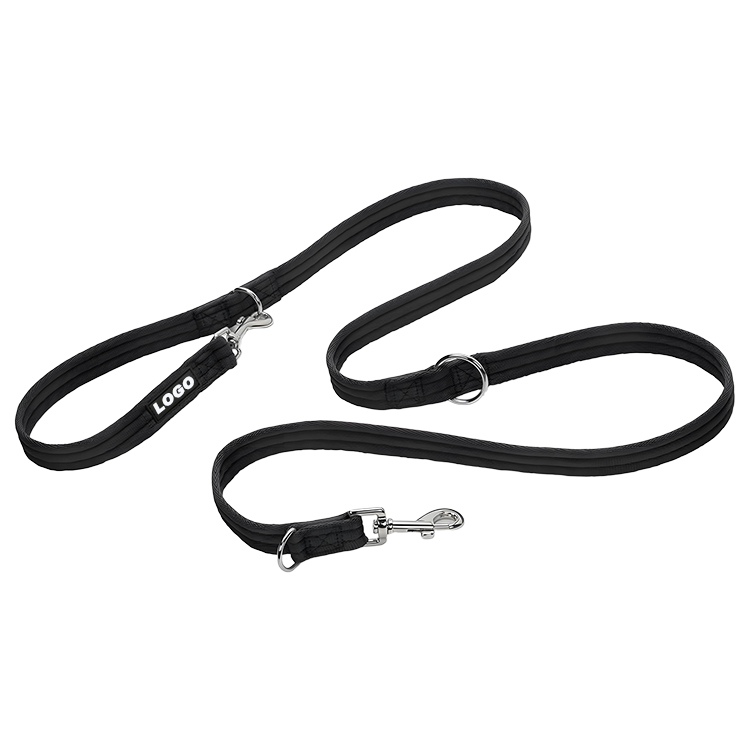 double lead leash