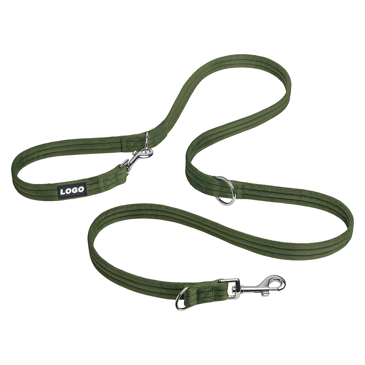 double lead leash