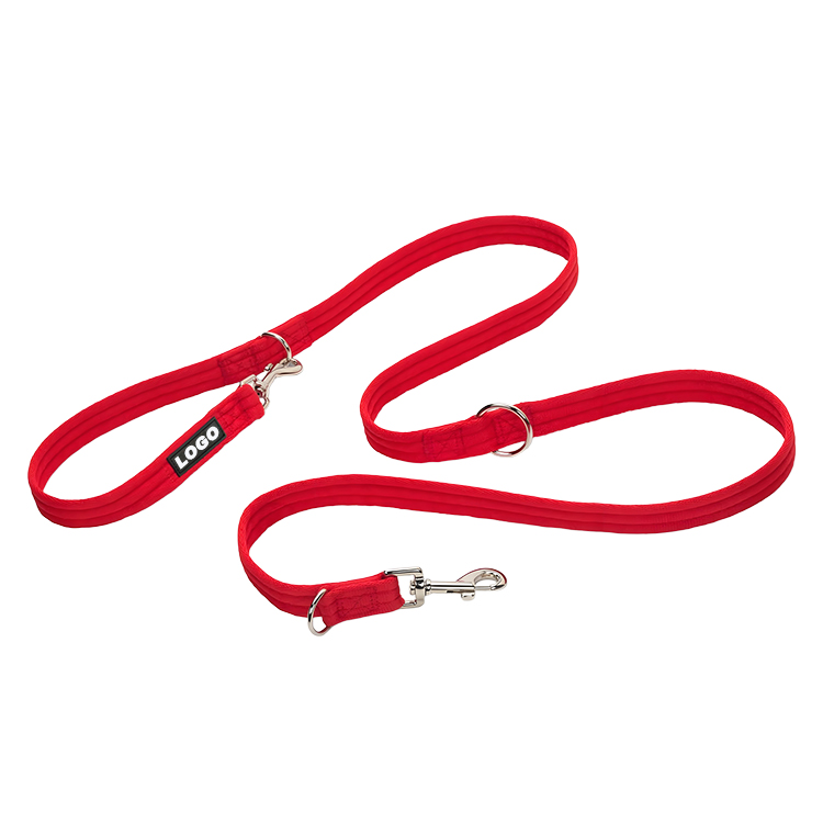 double lead leash