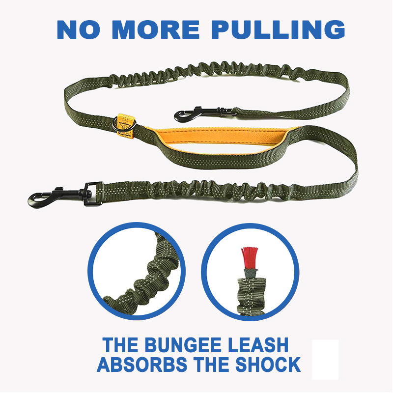 double sided leash