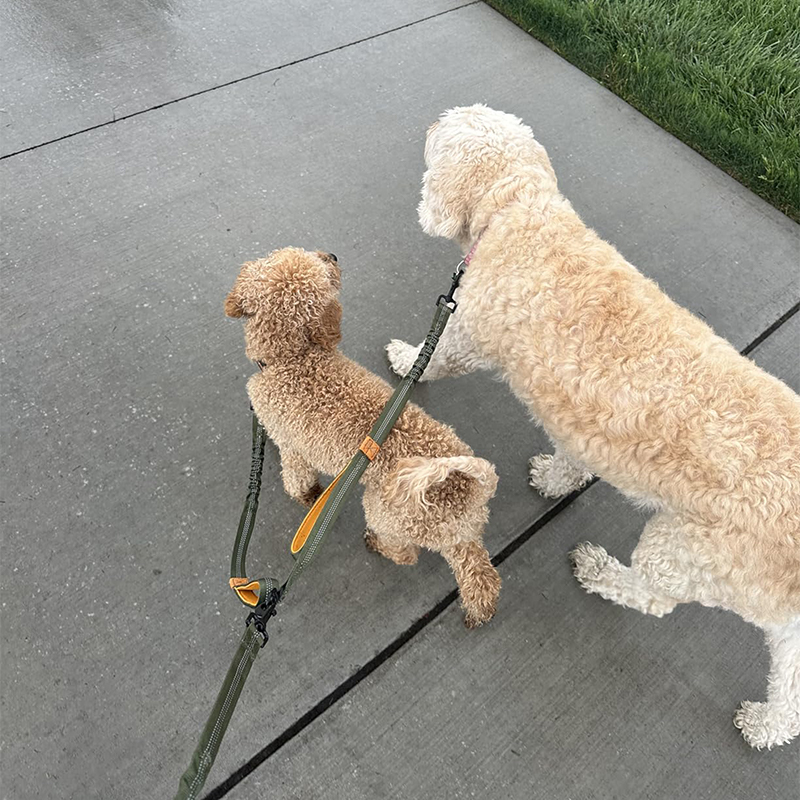 double sided leash