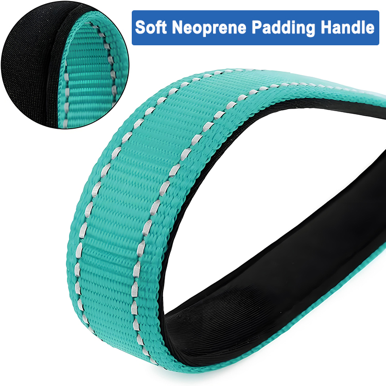 Short Dog Leash