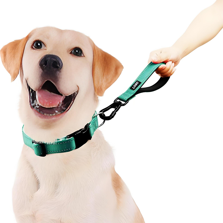 Short Dog Leash