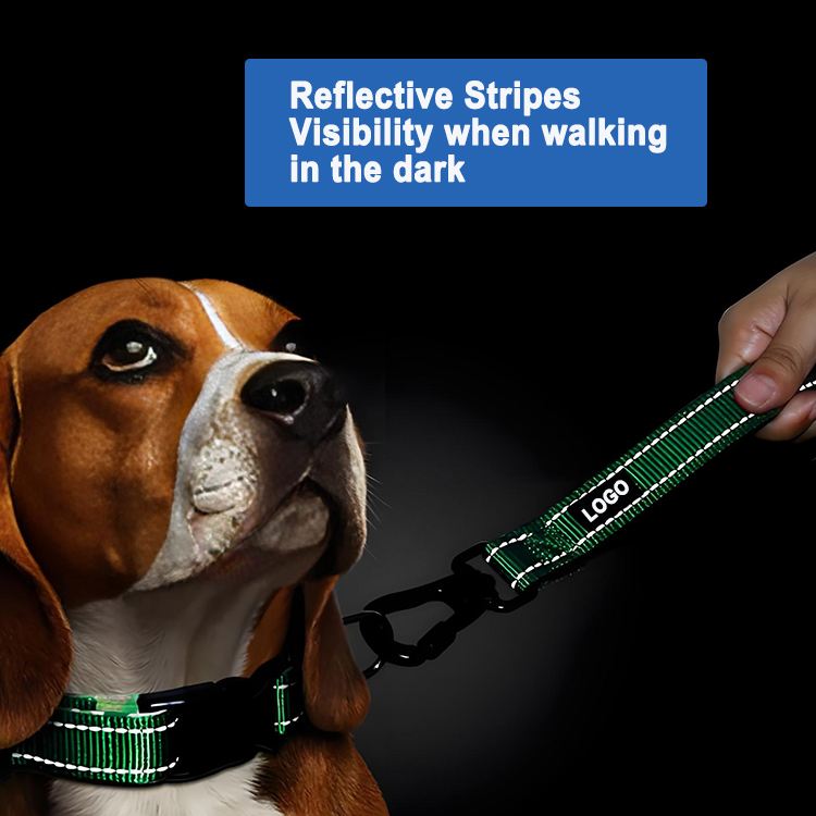 Short Dog Leash