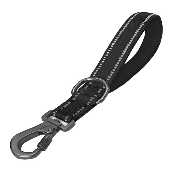 Short Training Dog Leash