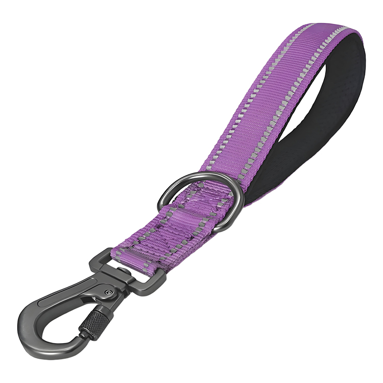 Short Training Dog Leash