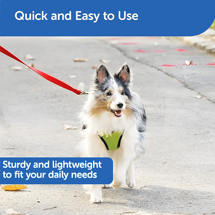 Good Dog Leads