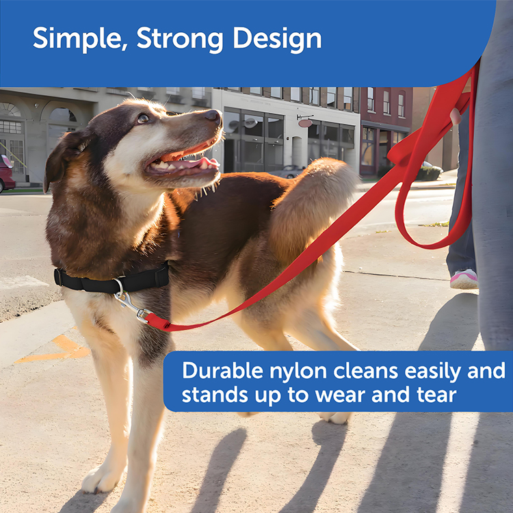 Good Dog Leads