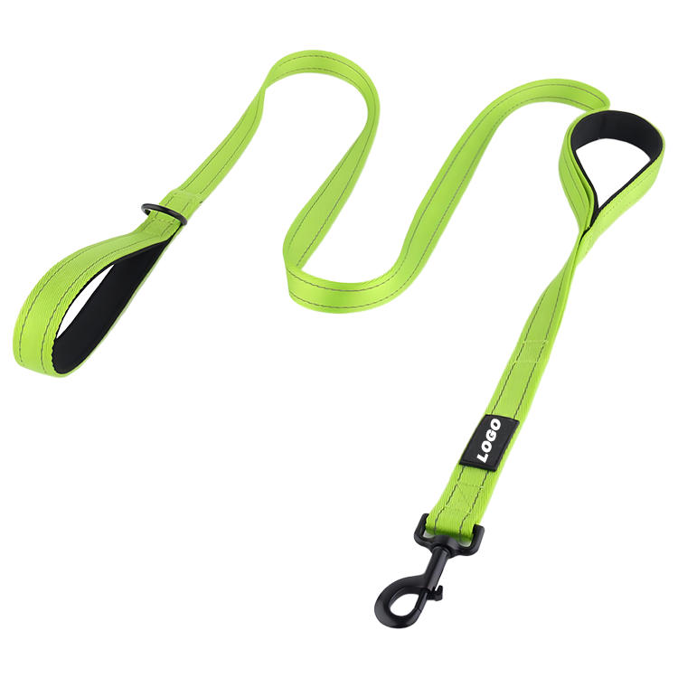 Seat Belt Leash for Dogs