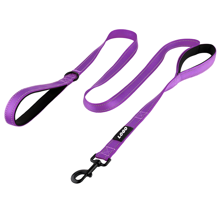 Seat Belt Leash for Dogs