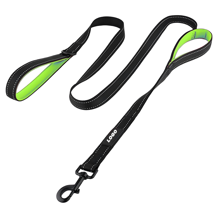 Seat Belt Leash for Dogs