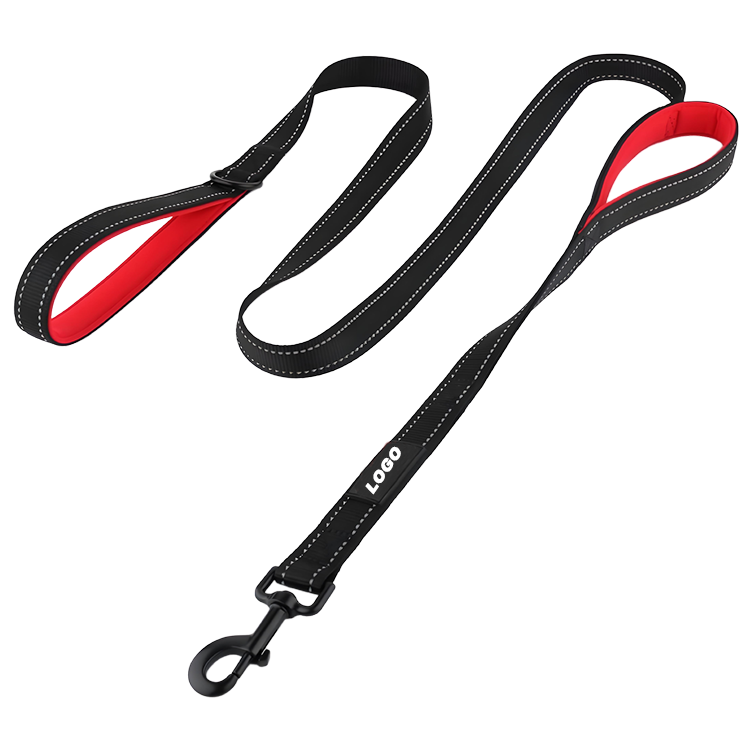 Seat Belt Leash for Dogs