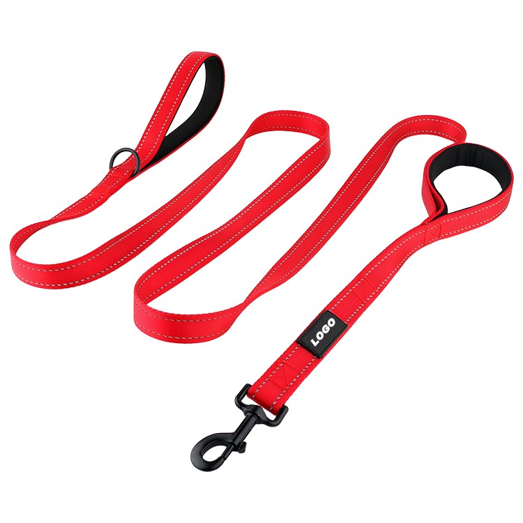 Seat Belt Leash for Dogs