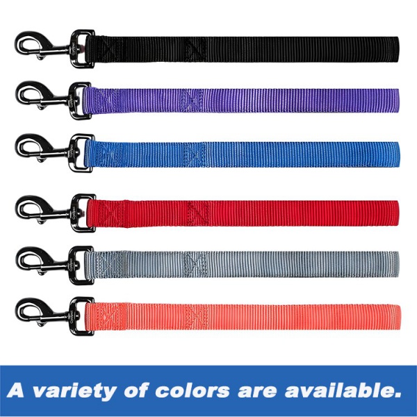 modern dog leash