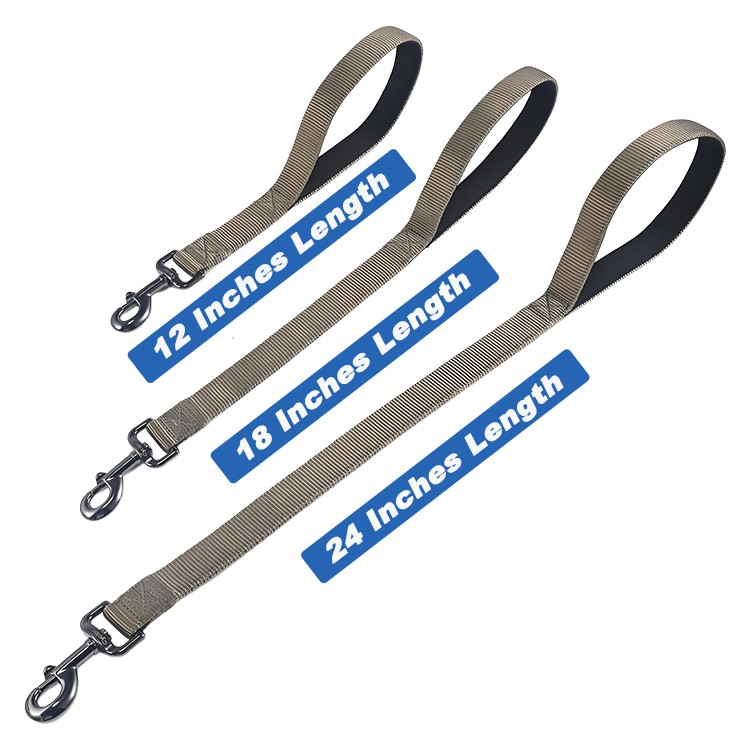 modern dog leash