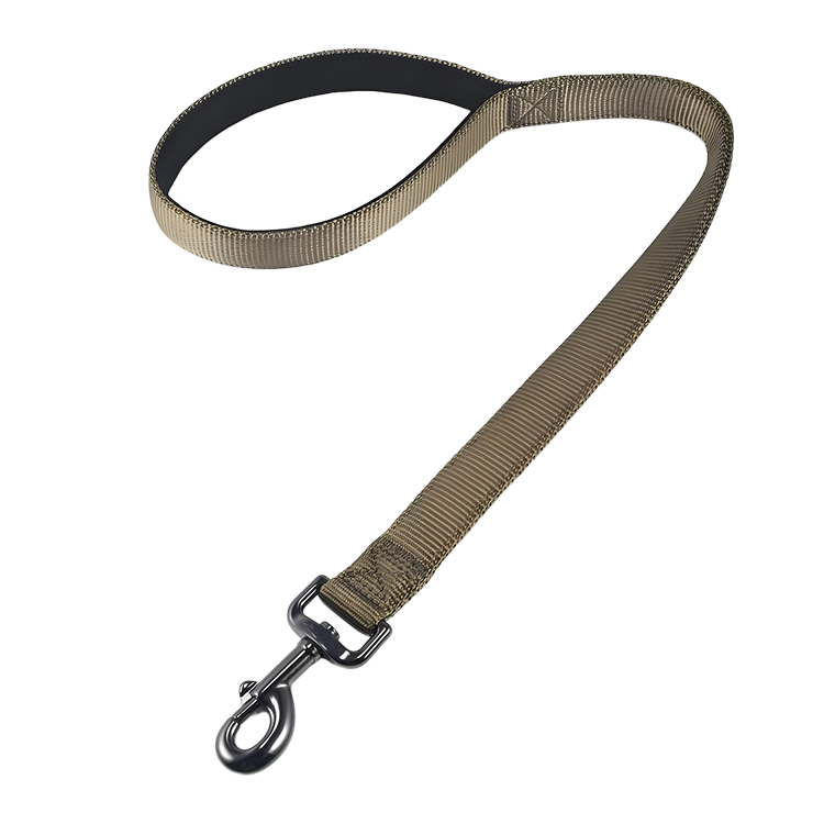 modern dog leash