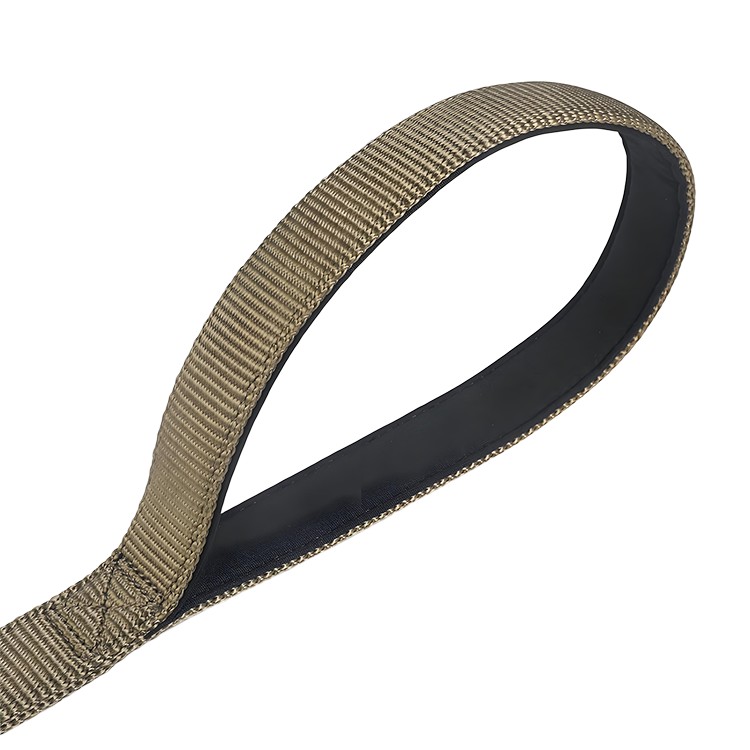 modern dog leash
