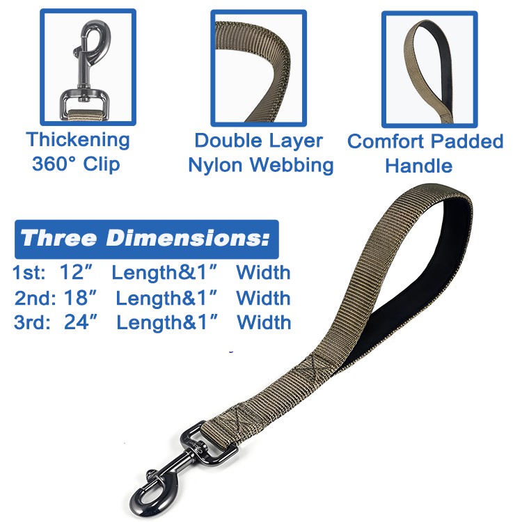 modern dog leash