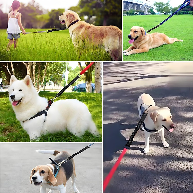 bungee dog leash extension