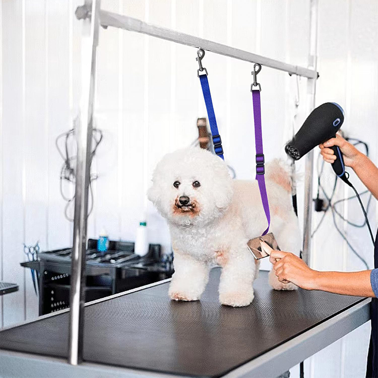 dog grooming leash