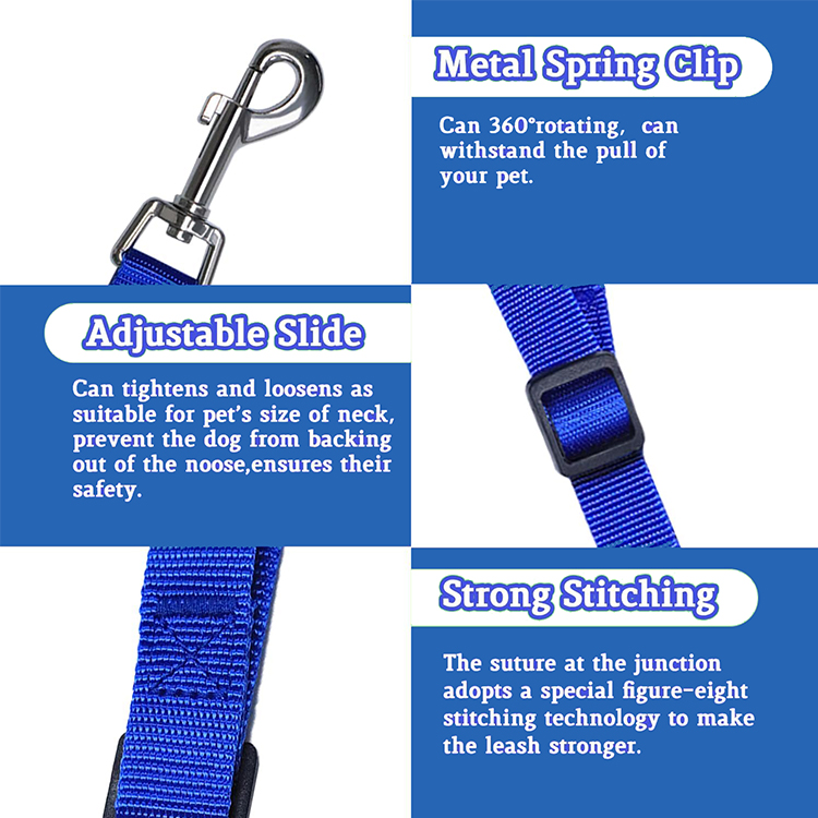 dog grooming leash