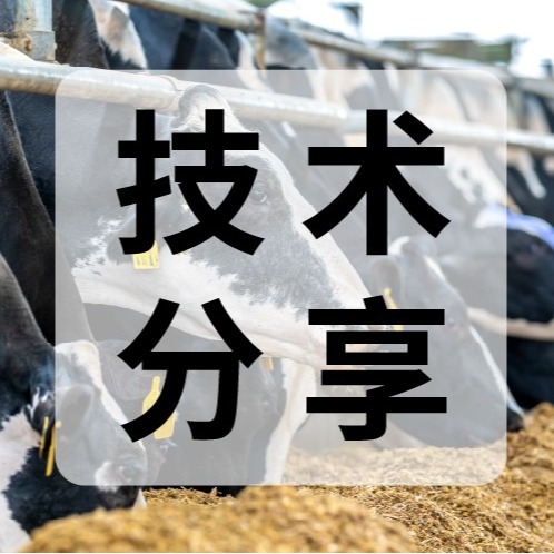 全新独立饲料检测线｜严控掺假、霉菌毒素、营养不达标