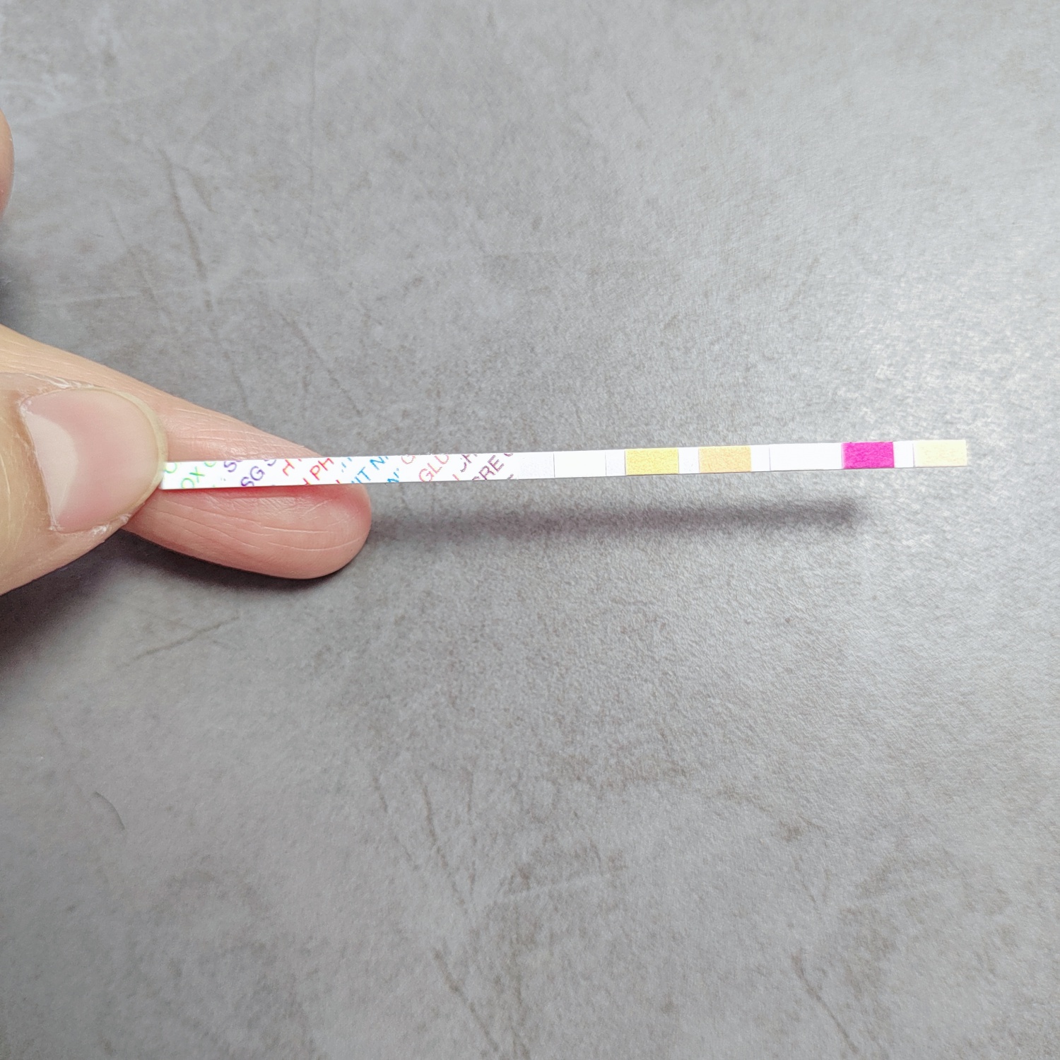 Ph./S.G/bande de test rapide pour créatinine/nitrite/gluten/oxydant （PCC & ble） （Urine）