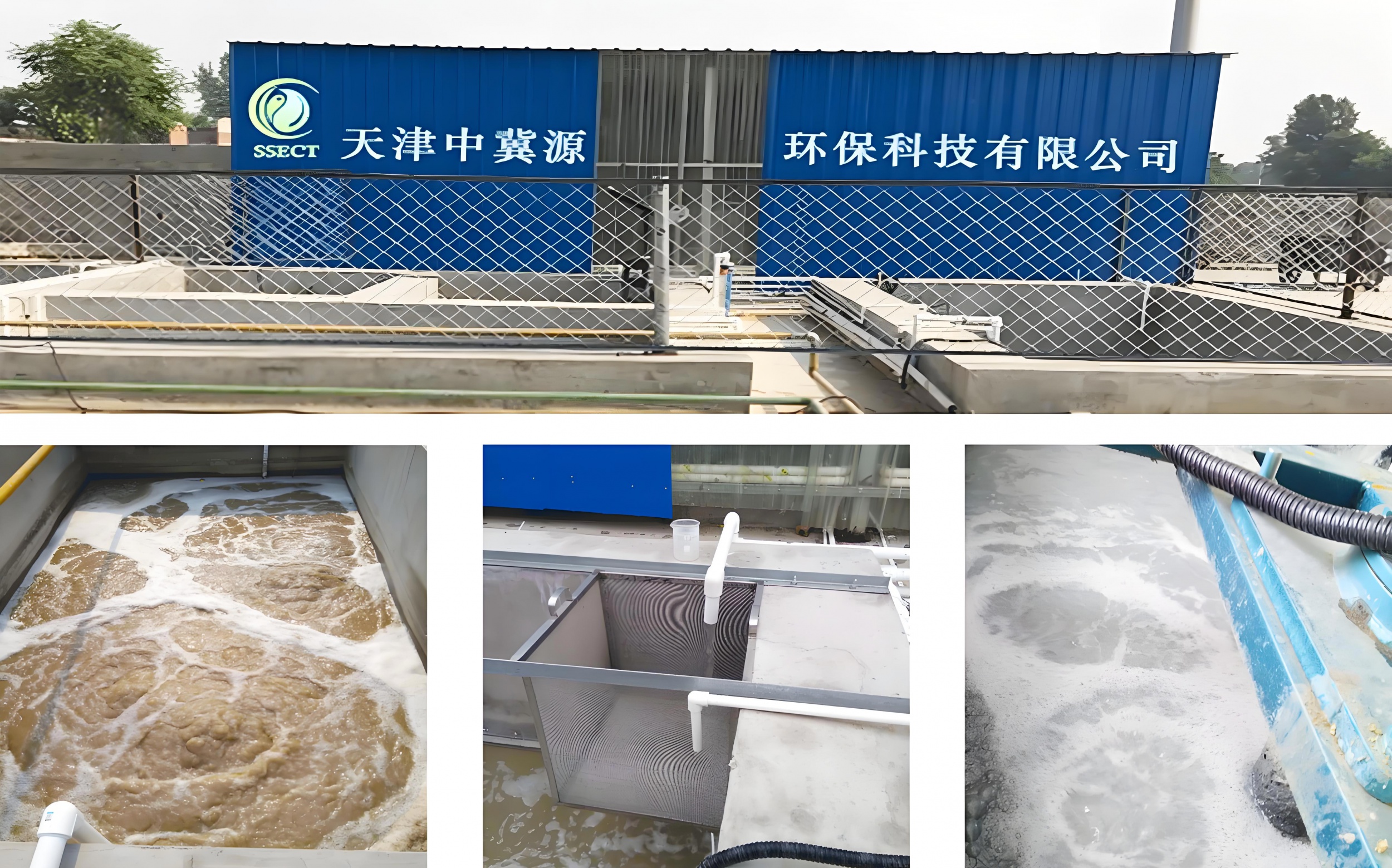 图片展示