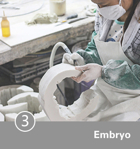 3. Embryo