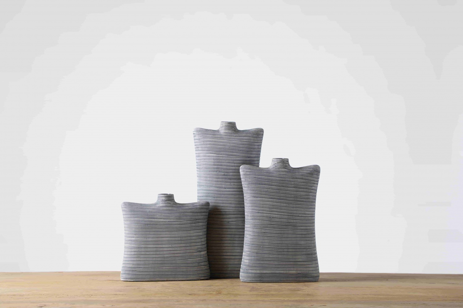 OEM & ODM Creative Home Deco Vase Modern Home Decoration Plant Dried Flower Vases