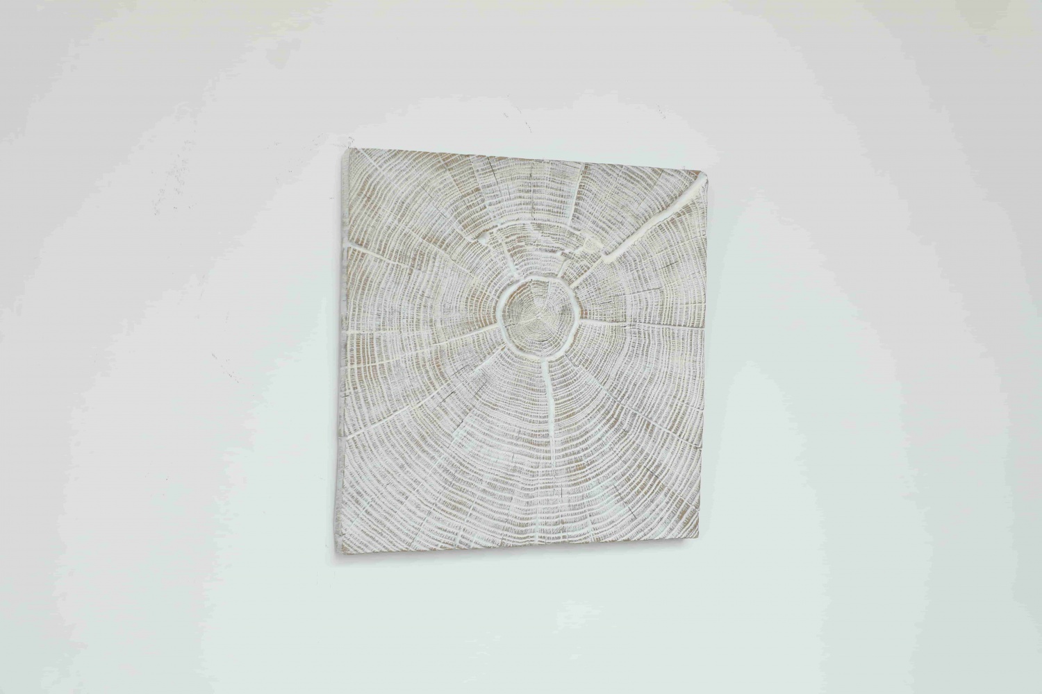 Hotel Decorative Elegant Nordic Style Handmade Carved 3D Wall Hanging Decor