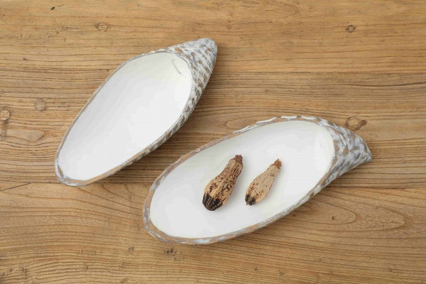 Nordic Style High End Shell White Resin Craft Tray For Home Decor