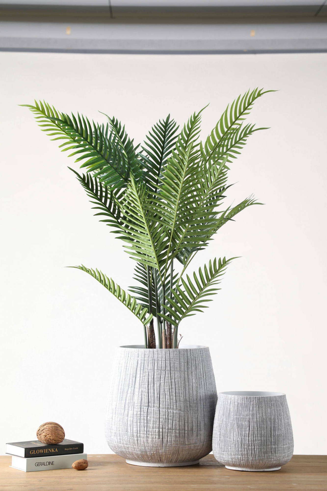 New Modern Home Decor Flower Plant Succulent Planters Handmade Large Flower Pot for Planter