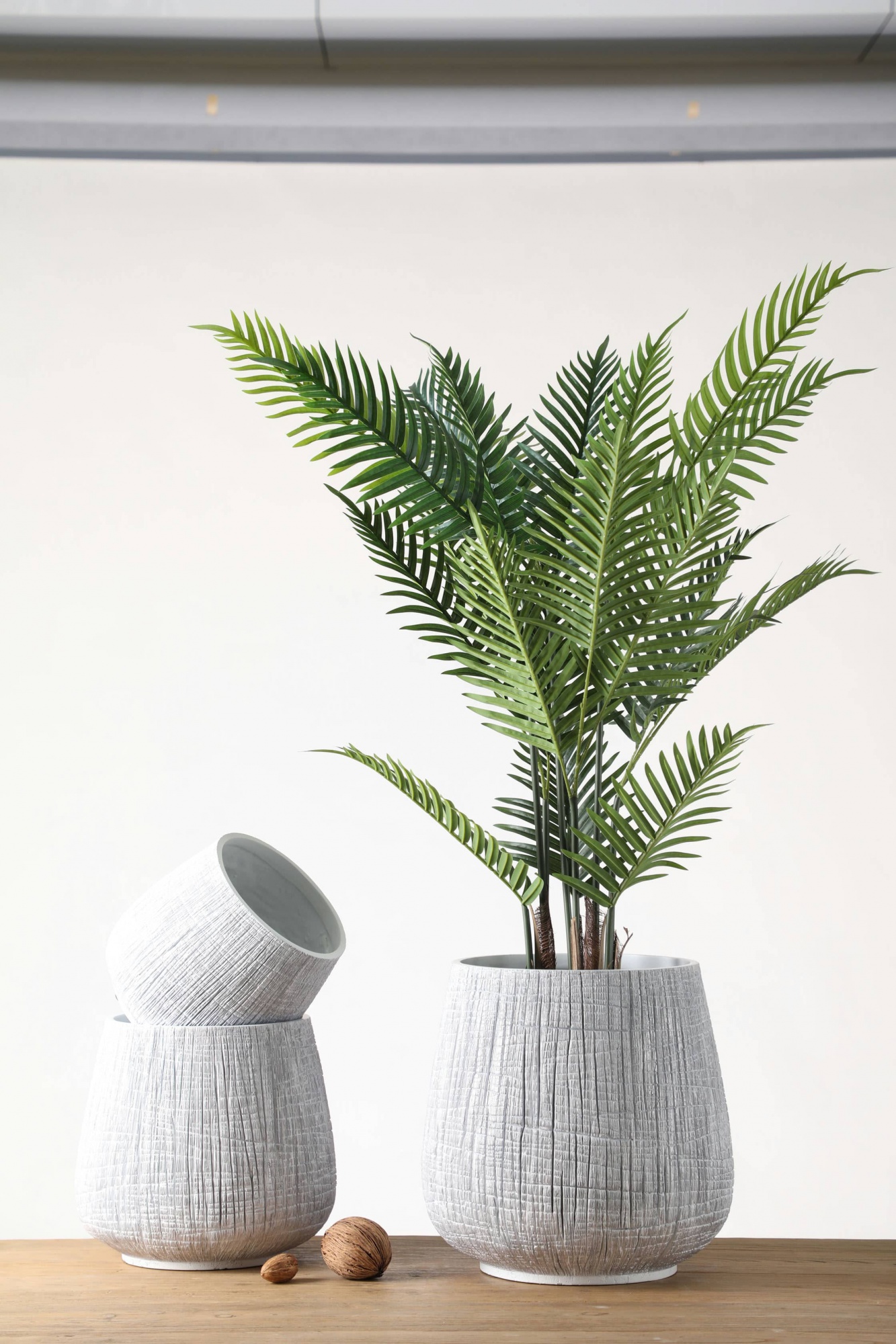 New Modern Home Decor Flower Plant Succulent Planters Handmade Large Flower Pot for Planter