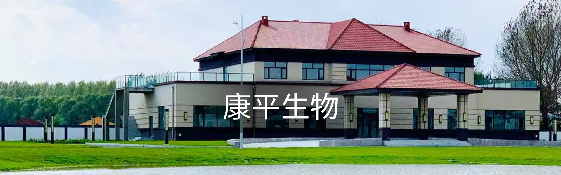 图片展示