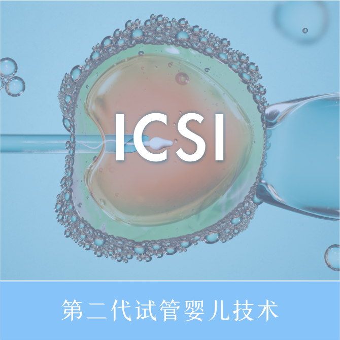 二代试管