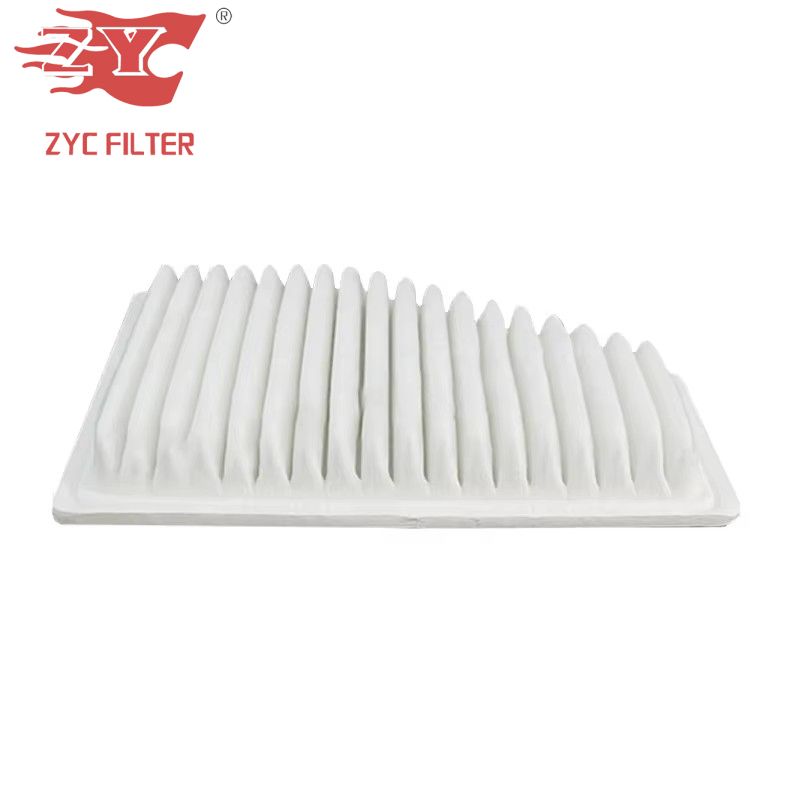 OEM 1066002699 High-Quality Car Air Filter 