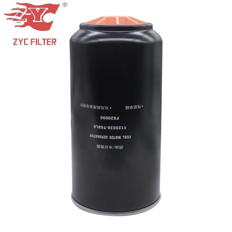 OEM FS20090 Car Fuel Filter for Toyota Hilux, Fortuner, Innova