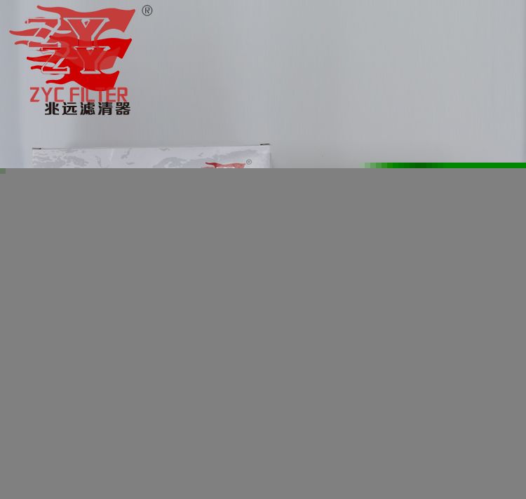OEM 1109013-B02 Car Air Filter for Jiangling