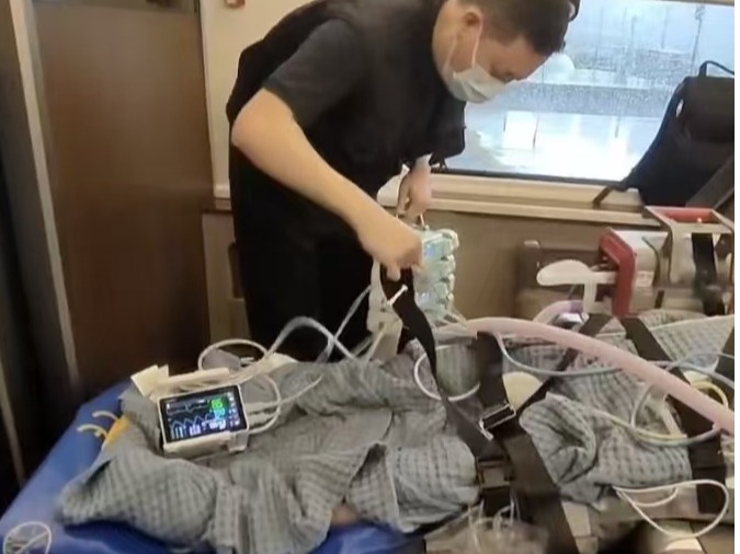 图片展示