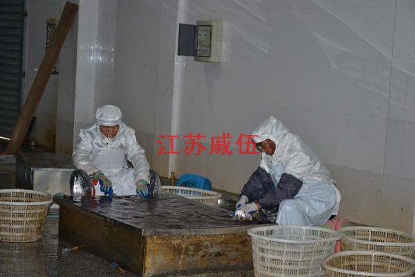 鳜鱼生产线