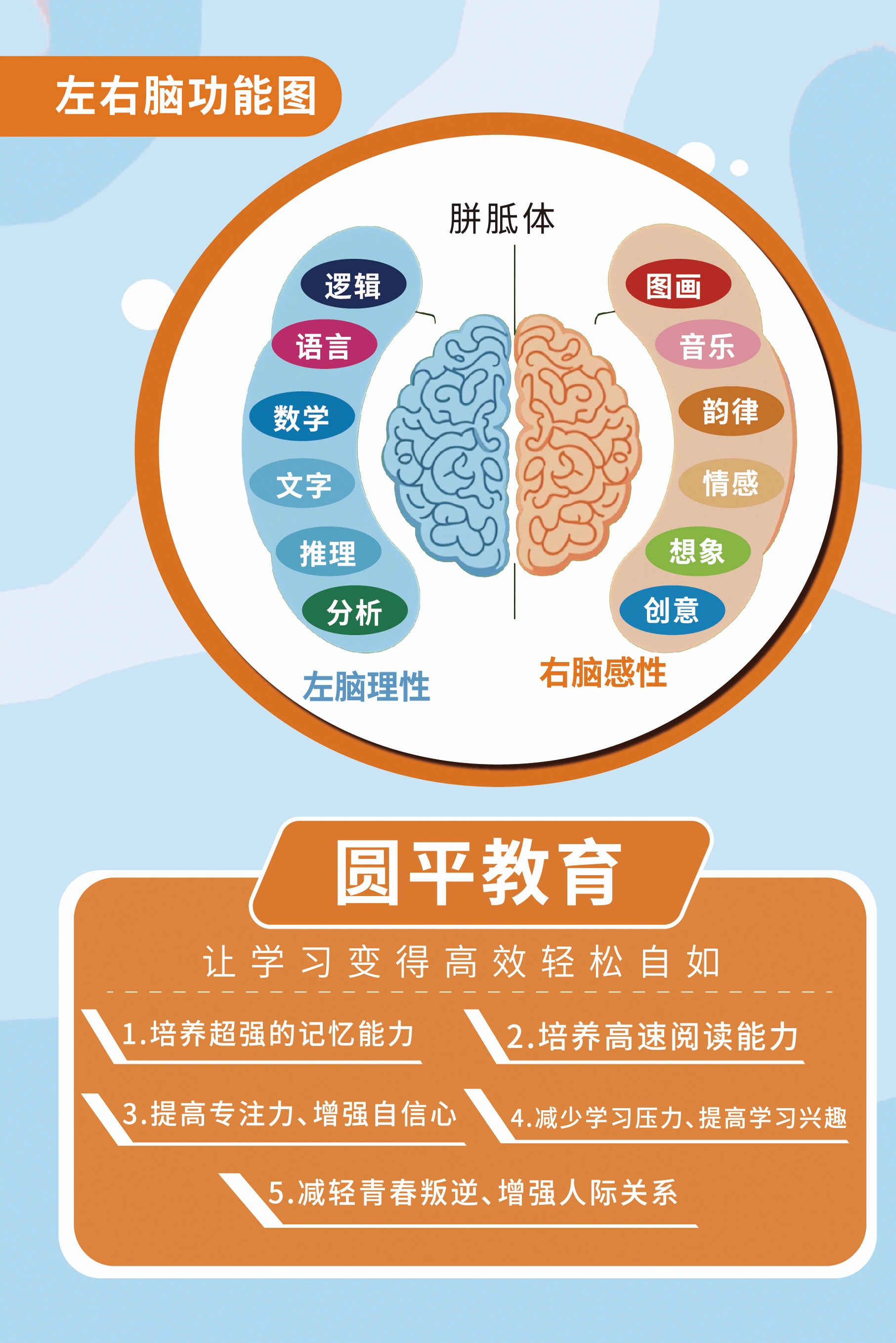 图片展示