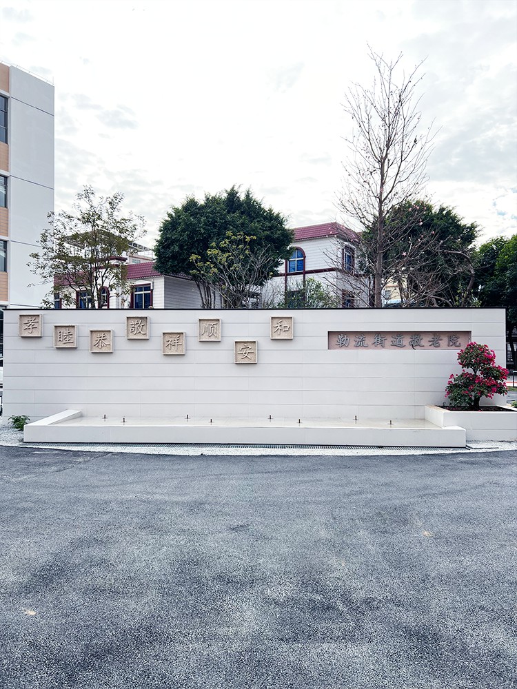 Case in South China: Leliu Sub-district Elderly Care Home, Shunde District, Foshan