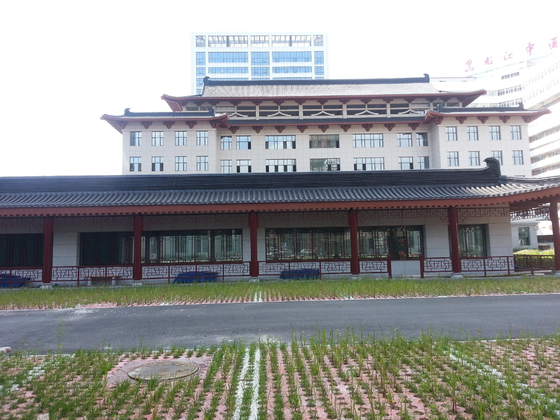 Case in Northeast China: The First Affiliated Hospital of Heilongjiang University of Chinese Medicine, Harbin City, Heilongjiang